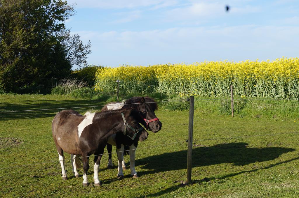 Lokken Farm Holiday Cameră foto