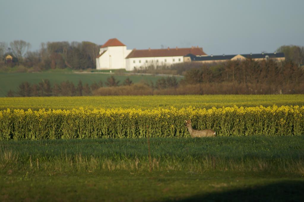 Lokken Farm Holiday Cameră foto